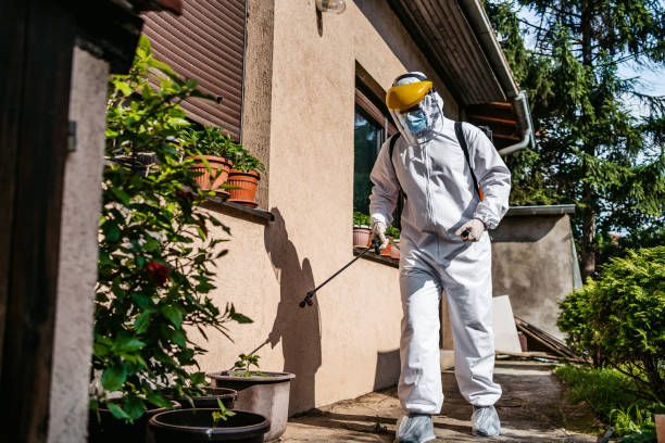 Best Affordable Pest Control Services  in Golden Gate, FL