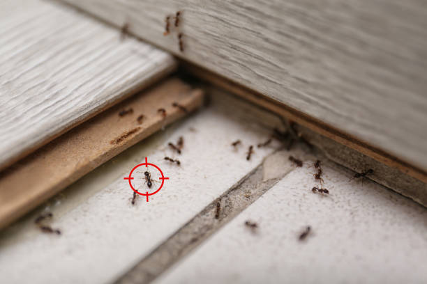 Best Exterminator Services  in Golden Gate, FL