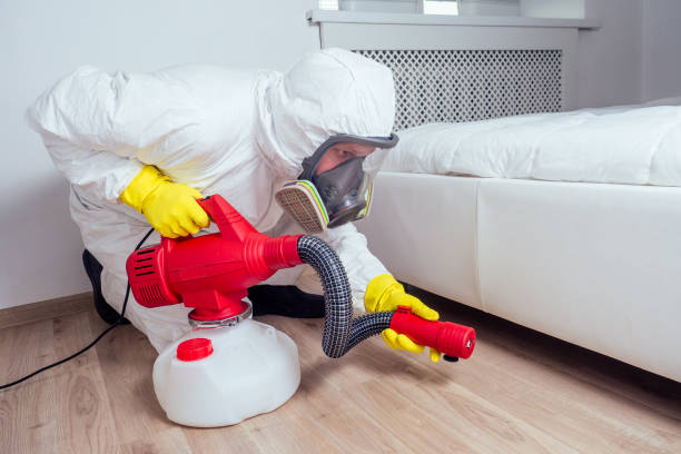 Best Bed Bug Extermination  in Golden Gate, FL