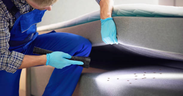 Best Insect Control  in Golden Gate, FL