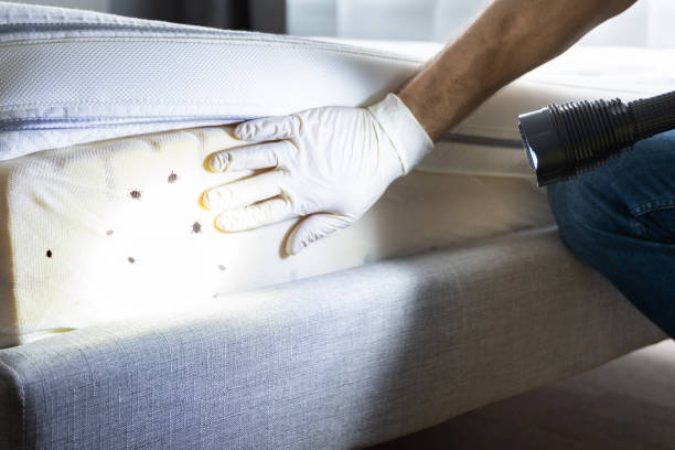 Best Pest Removal Services  in Golden Gate, FL