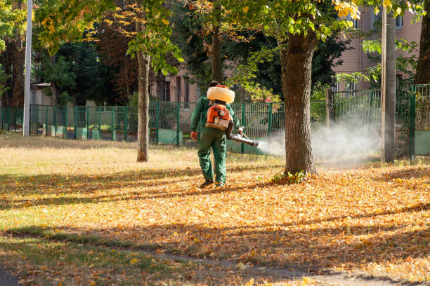 Professional Pest Control in Golden Gate, FL