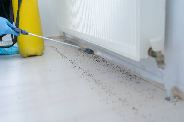 Best Best Pest Control Companies  in Golden Gate, FL