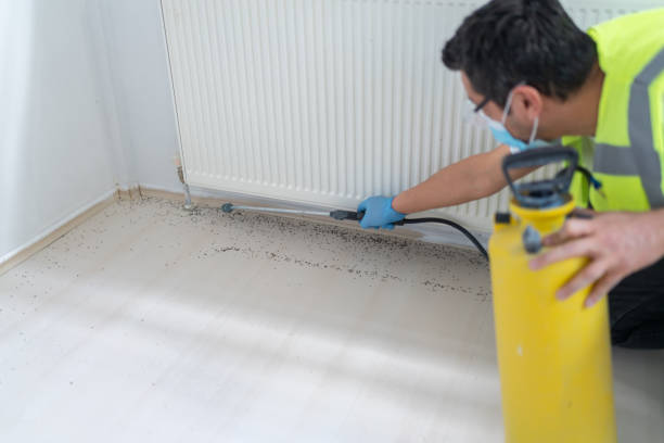 Best Emergency Pest Control  in Golden Gate, FL