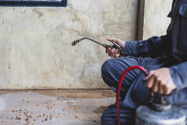 Best Pest Control for Businesses  in Golden Gate, FL